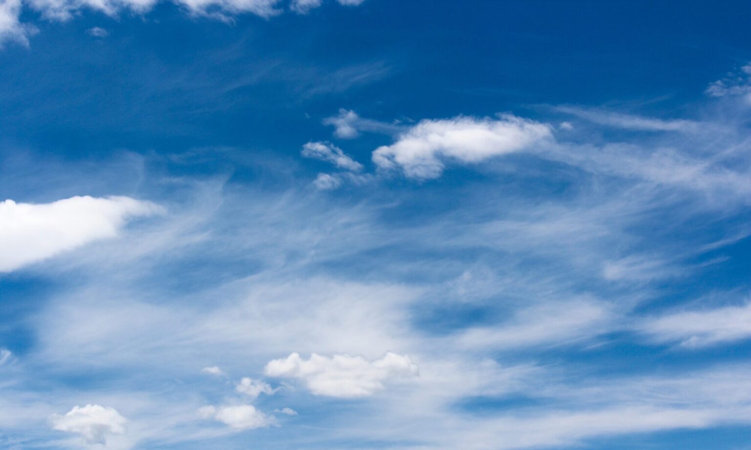 静岡県人権・地域改善推進会 Shizuoka Prefecture Human Rights and Regional